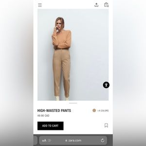 Zara High Waisted Trousers
